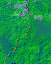 A three-component PCA composite of an eight-band satellite scene in false colour.