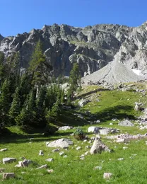 The Quemado Basin from the south, meadow and talus below the Truchas ridge.