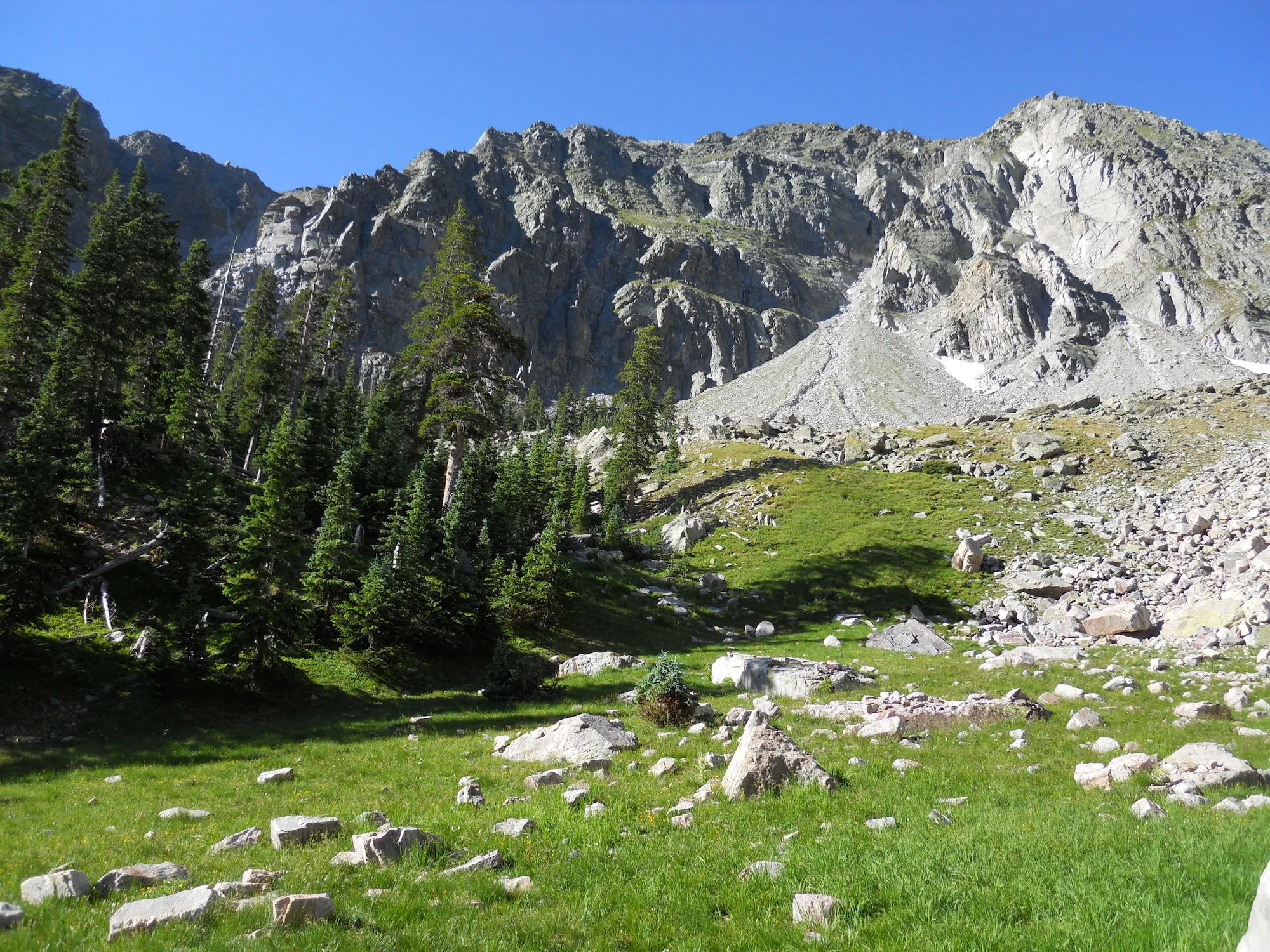 Quemado Basin in summer: a boulder-strewn meadow and a stand of spruce below the grey cliffs and scree cones of the cirque headwall, under a clear blue sky.
